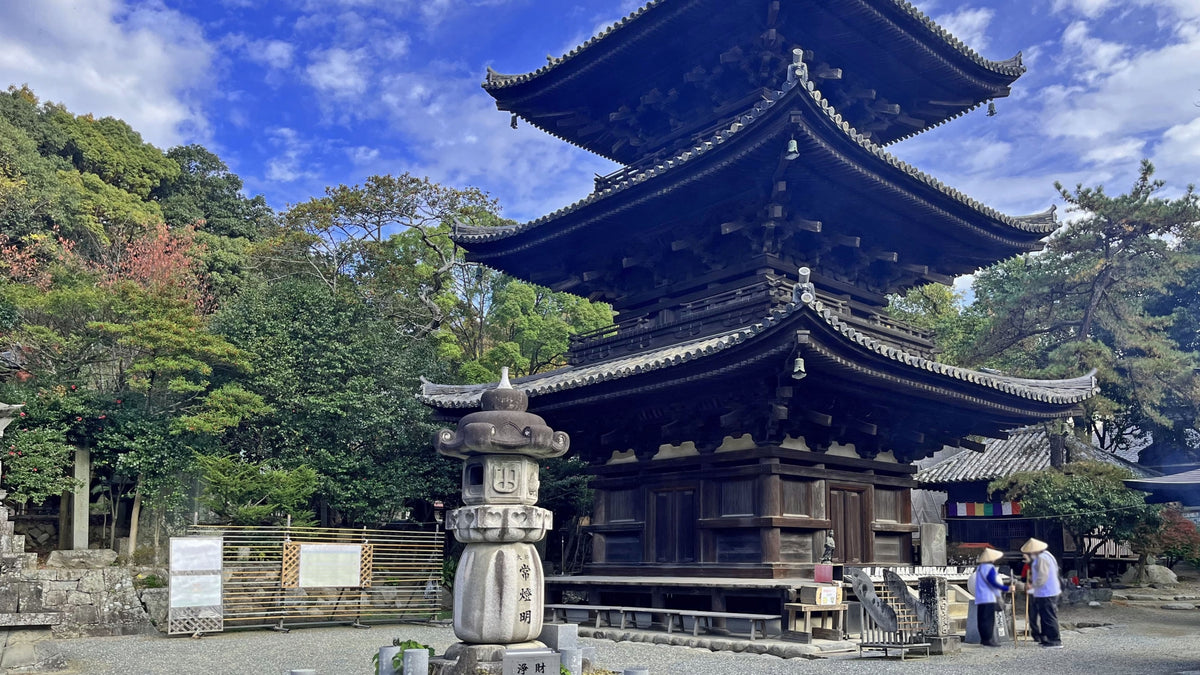 Matsuyama Ehime Private Shore Excursion City Highlight 4-6H