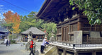 Matsuyama Ehime Private Shore Excursion City Highlight 4-6H