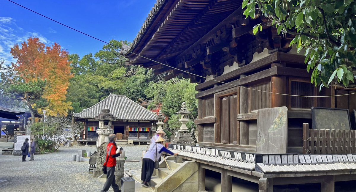 Matsuyama Ehime Private Shore Excursion City Highlight 4-6H