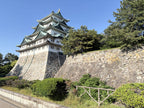 Nagoya Private Shore Excursion City Highlight 4H