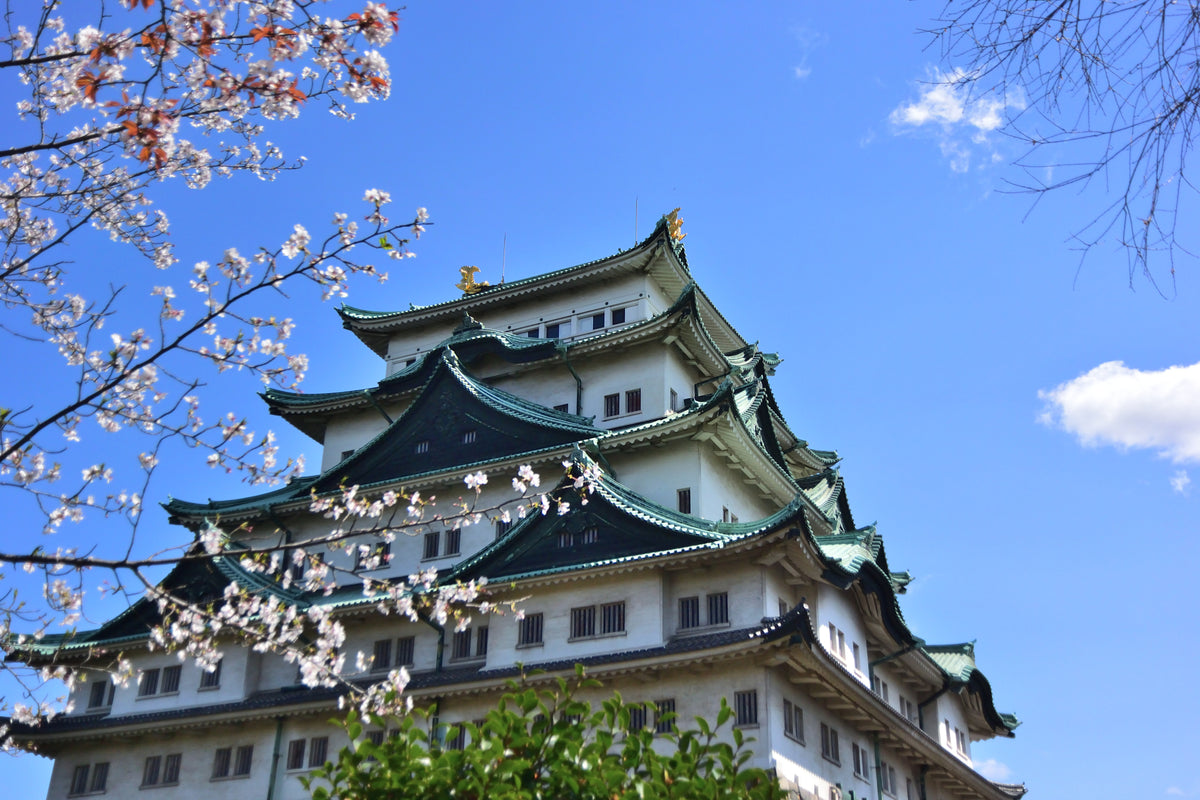 Nagoya Private Shore Excursion City Highlight 4H