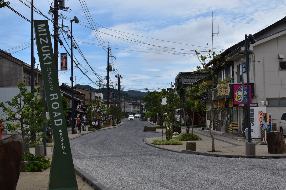 Sakaiminato Private Shore Excursion Tottori Sand Dunes 8H