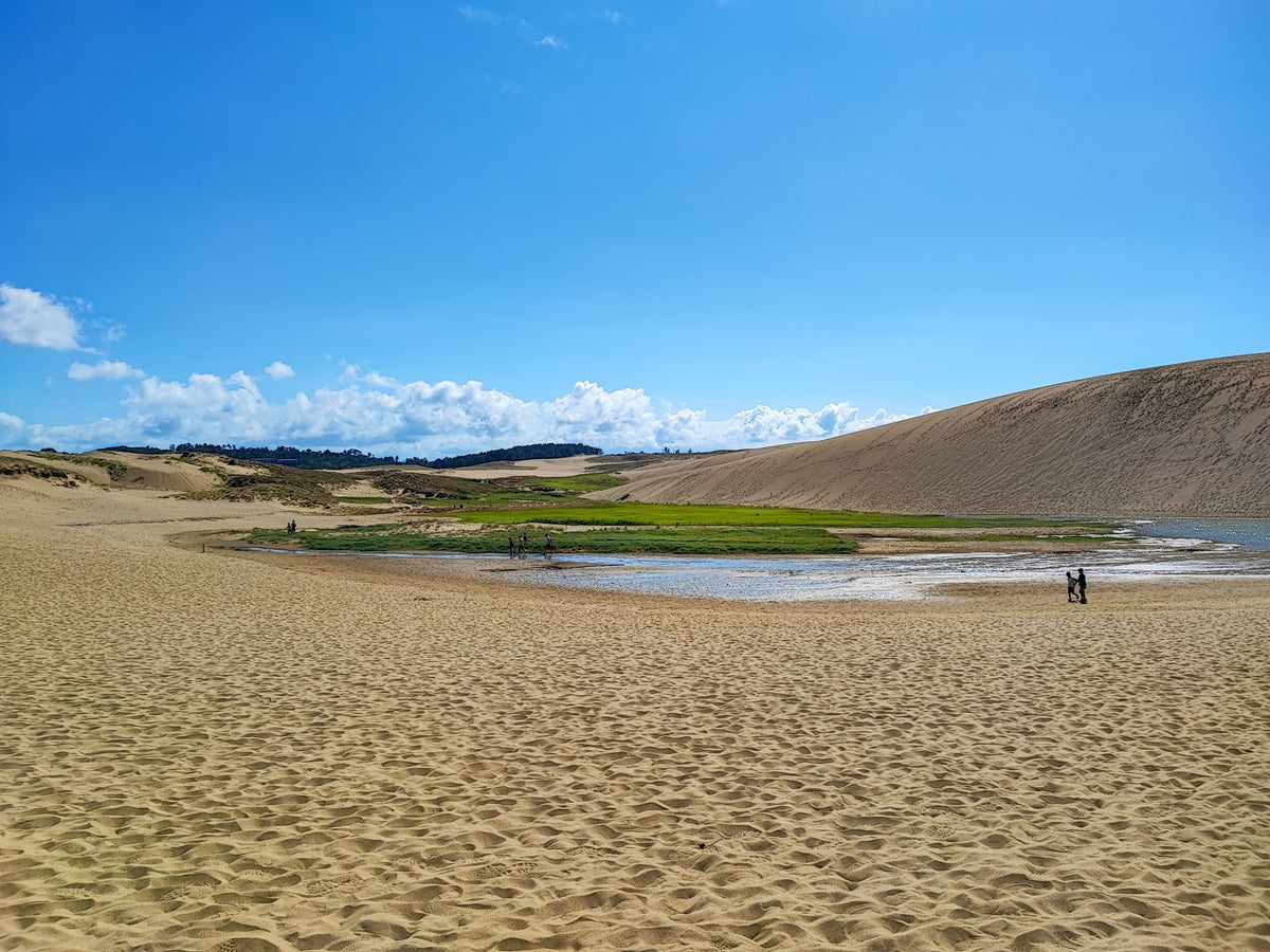 Sakaiminato Private Shore Excursion Tottori Sand Dunes 8H