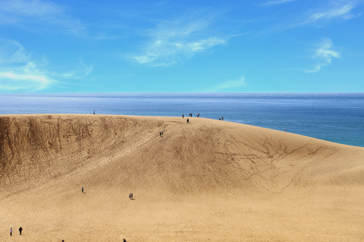 Sakaiminato Private Shore Excursion Tottori Sand Dunes 8H
