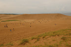 Sakaiminato Private Shore Excursion Tottori Sand Dunes 8H