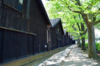Sakata Private Shore Excursion : Historic Storehouses & Coastal Highlights – 3H / 5H