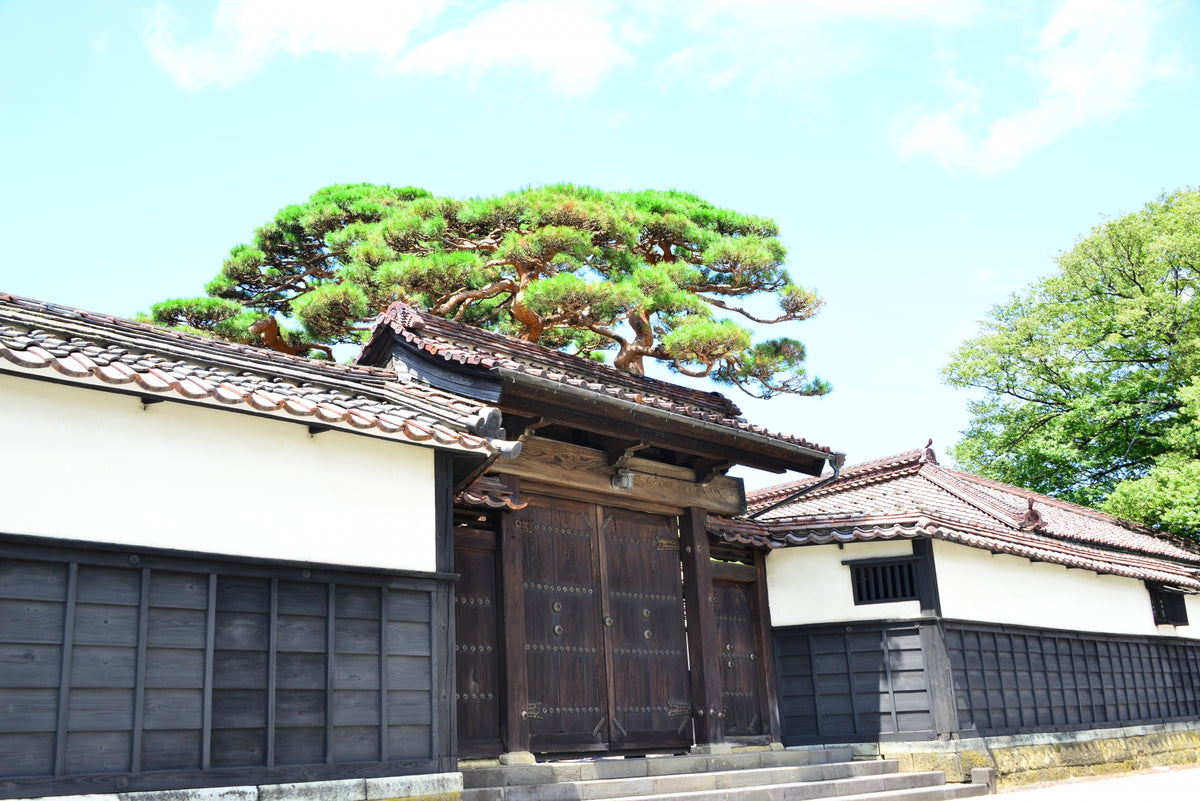 Sakata Private Shore Excursion City Highlight 3H & 5H