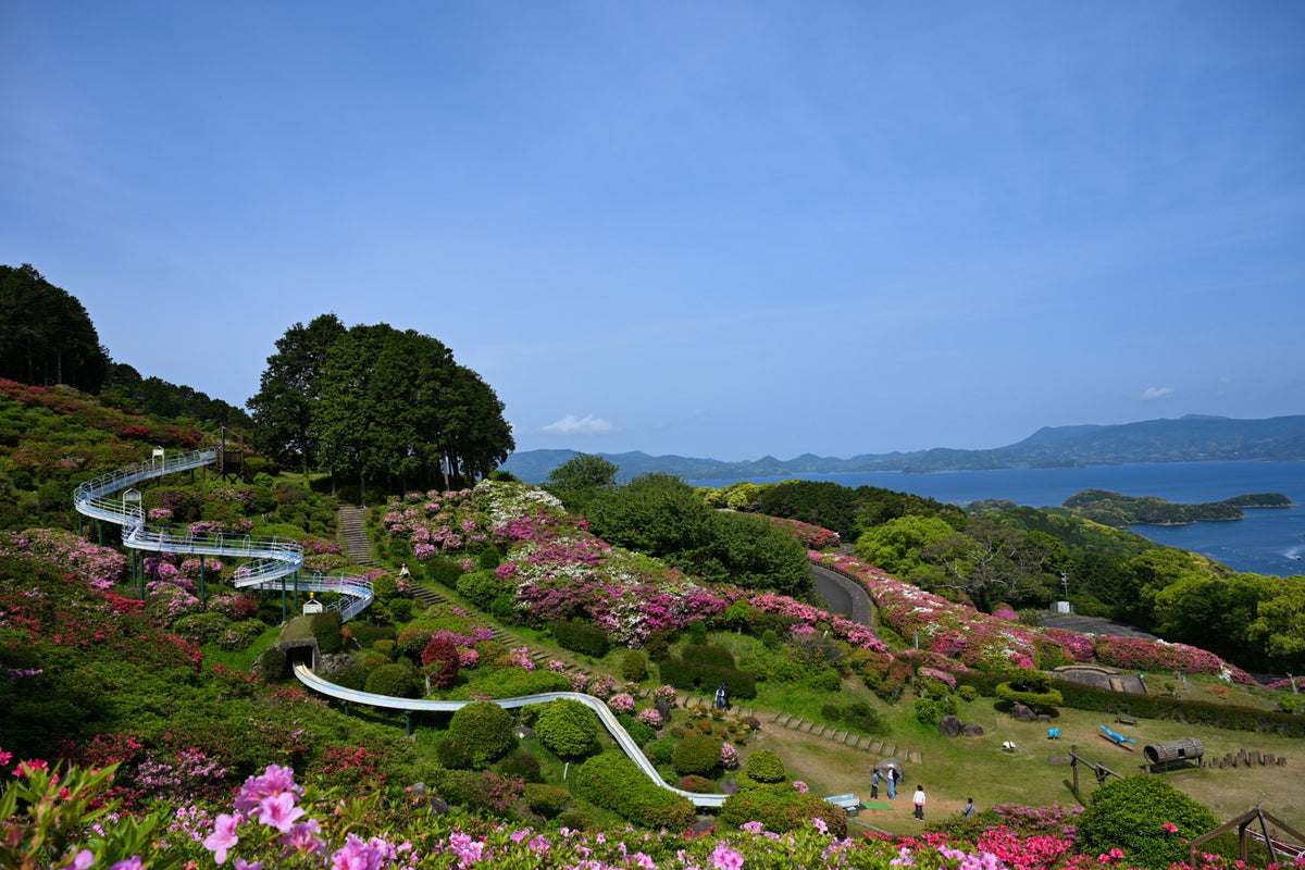 Sasebo Nagasaki Private Shore Excursion Highlight 4-6H