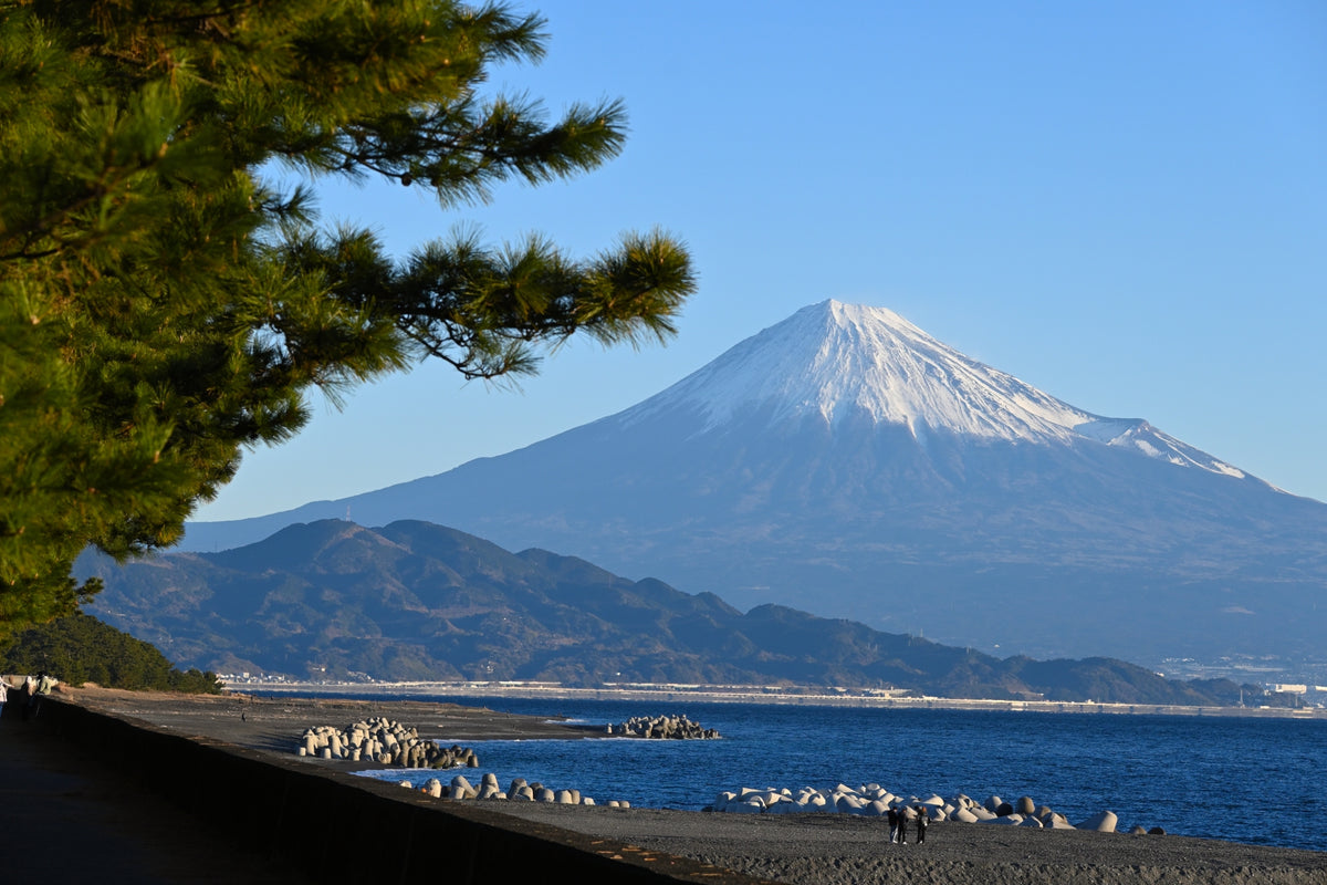 Shimizu Private Shore Excursion City Highlight 3-7H