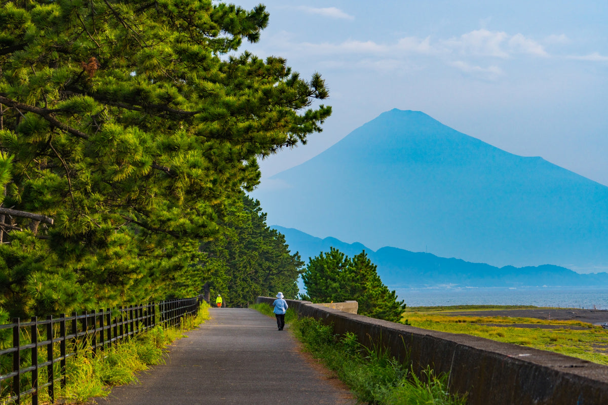 Shimizu Private Shore Excursion City Highlight 3-7H