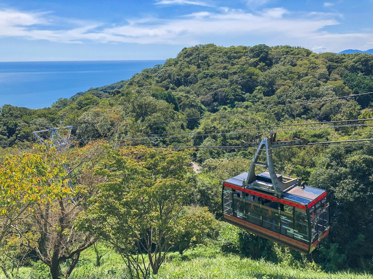 Shimizu Private Shore Excursion City Highlight 3-7H