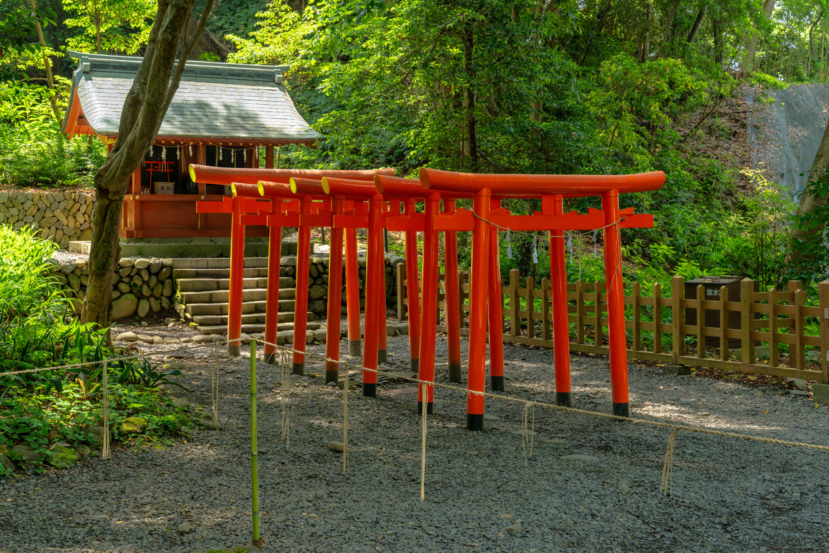 Shimizu Private Shore Excursion City Highlight 3-7H
