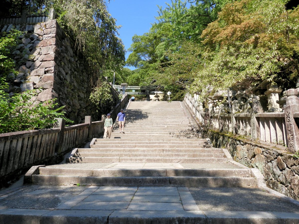 Takamatsu Private Shore Excursion Highlight 7H