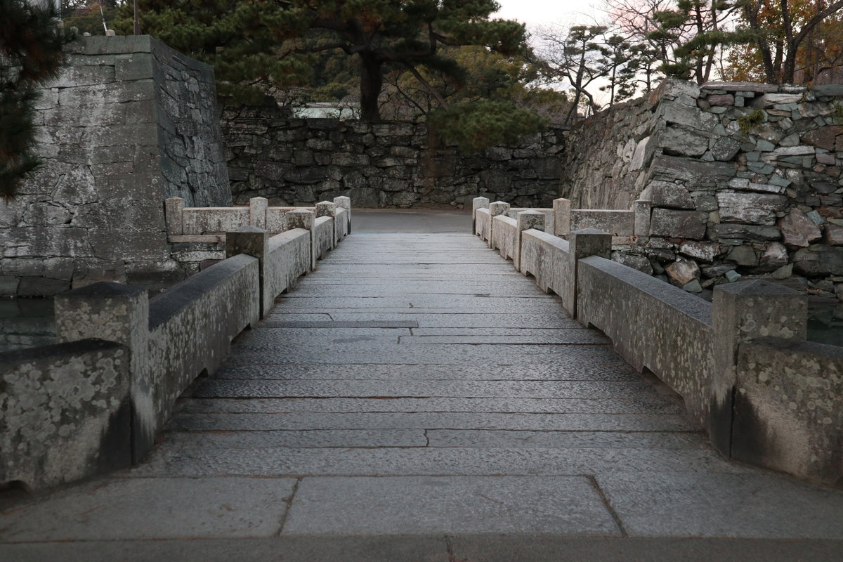 Komatsushima Tokushima Private Shore Excursion City Highlight 4H