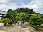 Komatsushima Tokushima Private Shore Excursion City Highlight 4H