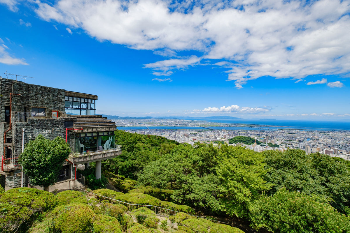 Komatsushima Tokushima Private Shore Excursion City Highlight 4H
