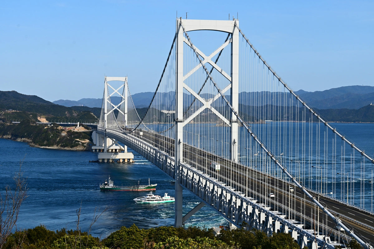 Komatsushima Tokushima Private Shore Excursion City Highlight 7H