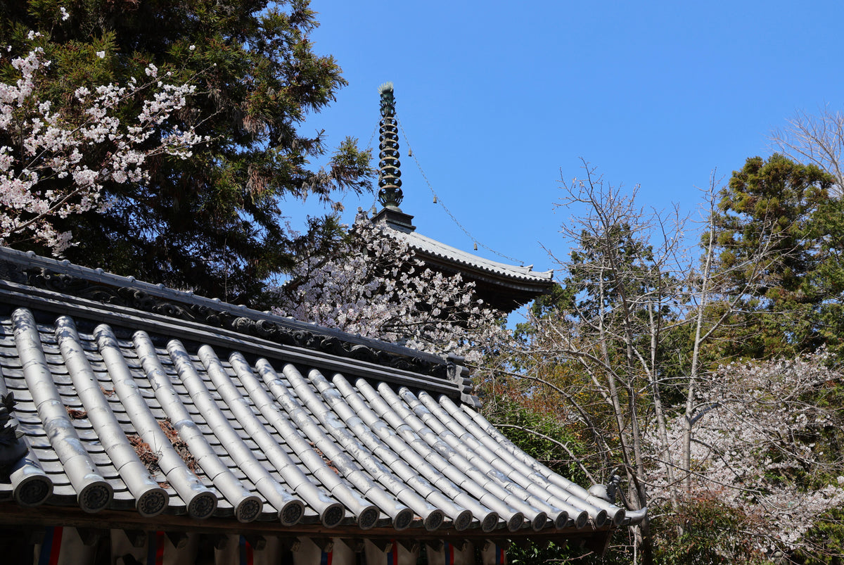 Komatsushima Tokushima Private Shore Excursion City Highlight 7H